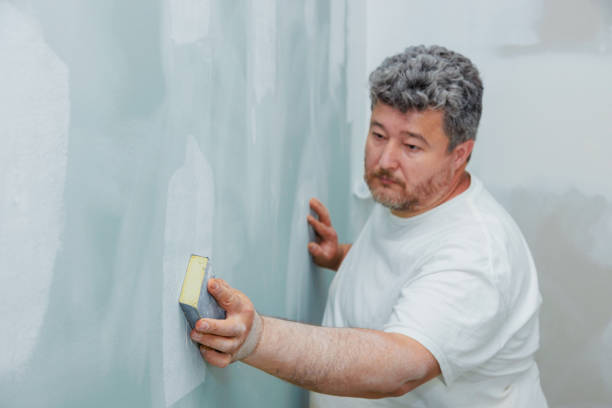 Best Wallpaper Removal and Painting  in USA